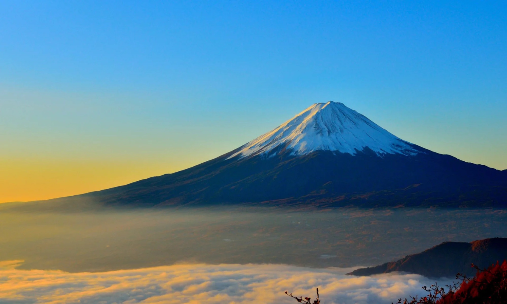 Fuji Health